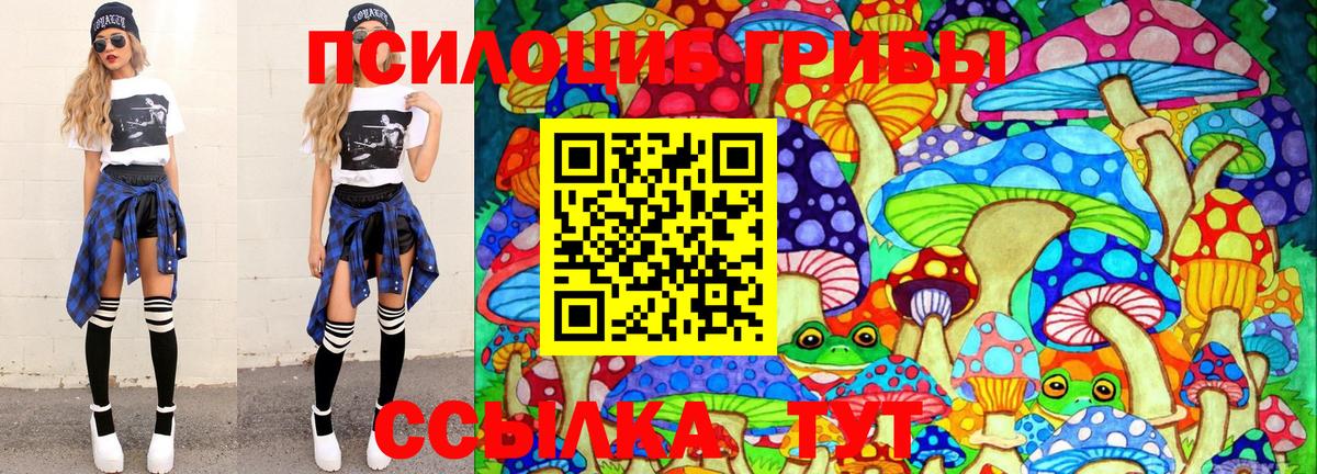 Луга  Галлюциногенные грибы Psilocybine cubensis  Псилоцибиновые грибы прущие грибы  купить  сайты  Вход с VPN 